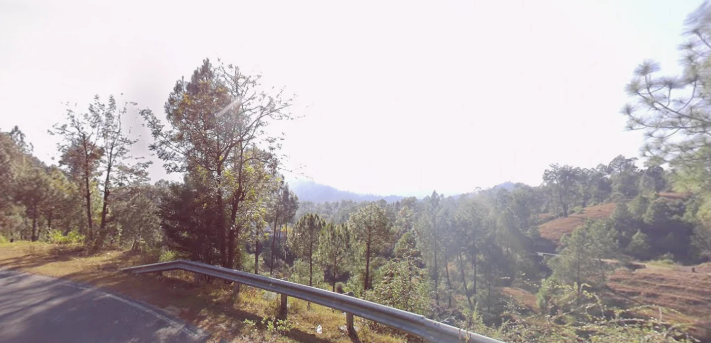 Tani, Uttarakhand 263643, India