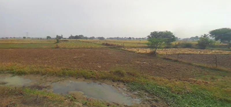 Prayagraj, Uttar Pradesh, India preview 3