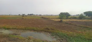 Prayagraj, Uttar Pradesh, India preview 3