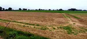 Khategaon, Madhya Pradesh 455336, India preview 3