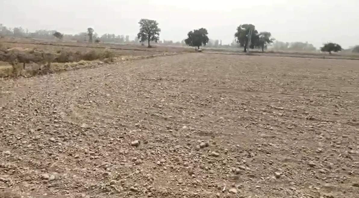 7MG8+J9 Dhoblai, Jaipur, Rajasthan, India