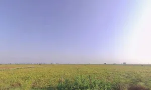 Genta - Itawa Rd, Genta, Rajasthan 325004, India preview 2