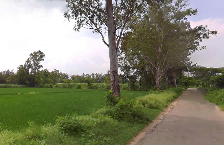 Lalpur Hamir, Uttar Pradesh 244001, India