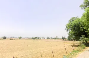 Darbaripur, Sector 75, Gurugram, Haryana 122101, India preview 2