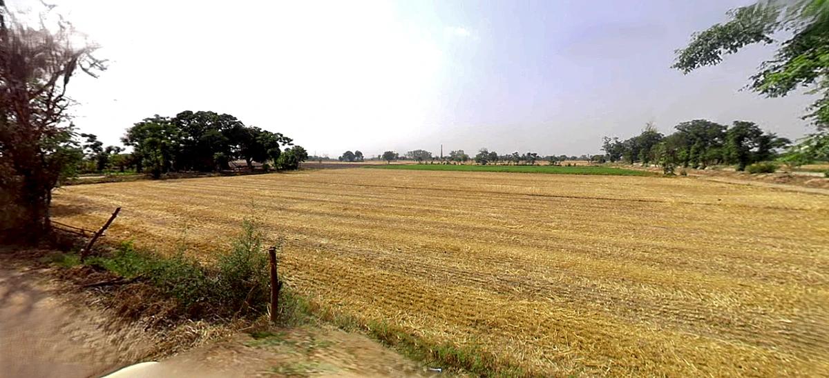 Tibbi, Haryana 134204, India