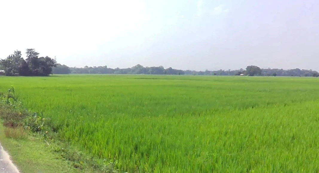 Patan, Madhya Pradesh 483113, India
