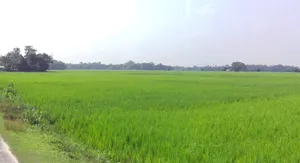 Patan, Madhya Pradesh 483113, India preview 2