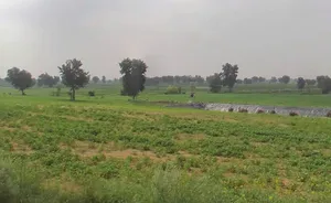 WVM8+576, Arjansar, Rajasthan 334604, India preview 2