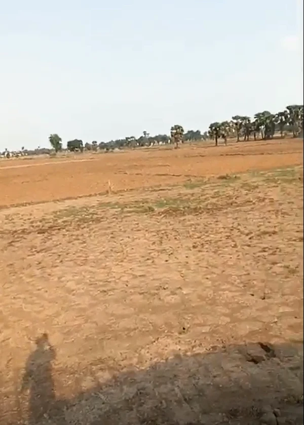 QQ3R+VF2, Khairthal-Tijara, Chor Basai, Rajasthan 301405, India