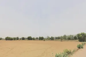 Jharli, Haryana 124106, India preview 3
