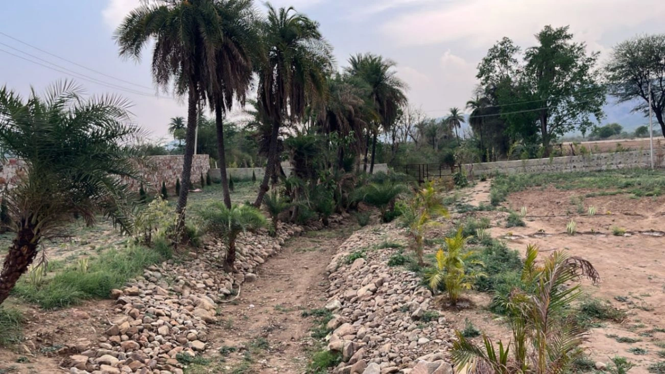 HFXG+59 Rundh Sundarwas, Rajasthan, India