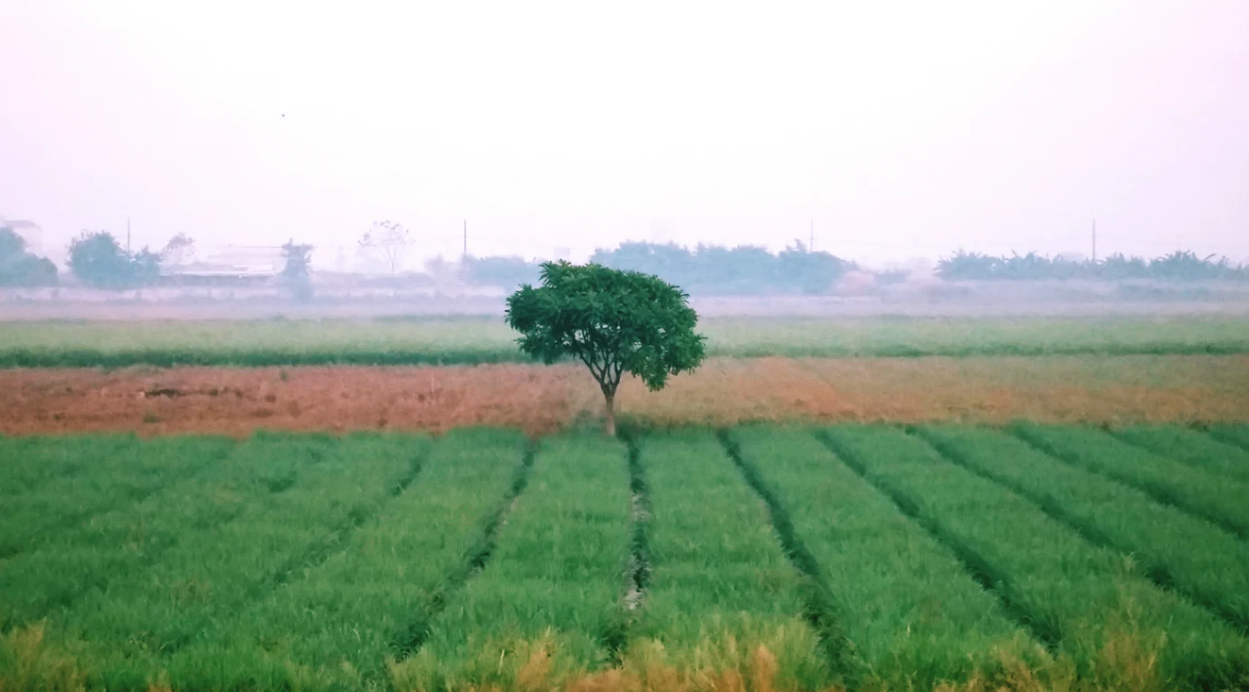 Gadamore, Chhattisgarh 491337, India