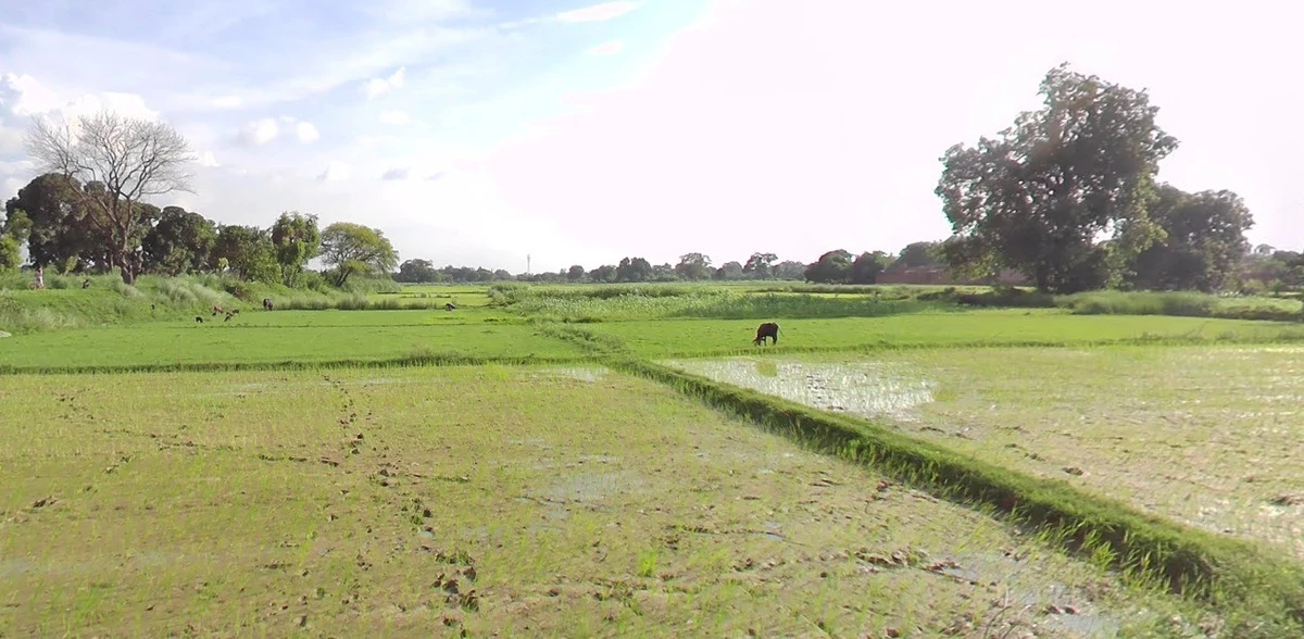 Kalu Khera, Uttar Pradesh 209821, India