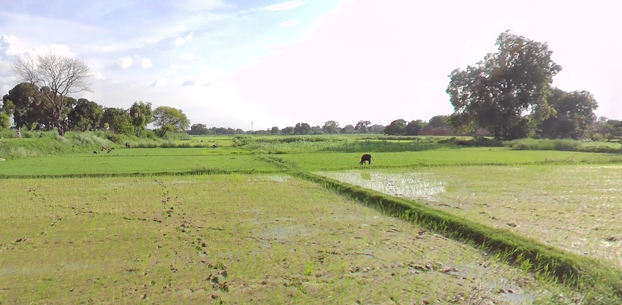 Kalu Khera, Uttar Pradesh 209821, India