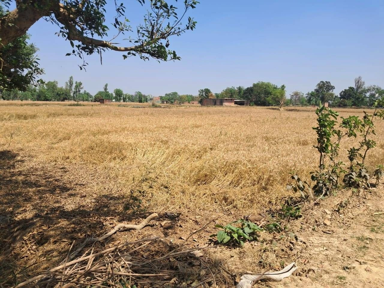 P6X3+RJQ, Darshan Nagar - Bharat Kund Marg, Mirzapur Mafi, Uttar Pradesh 224135, India