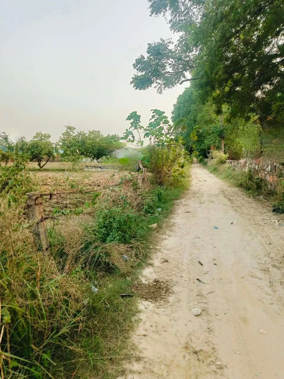 Bera, Mathura, Uttar Pradesh 281205, India