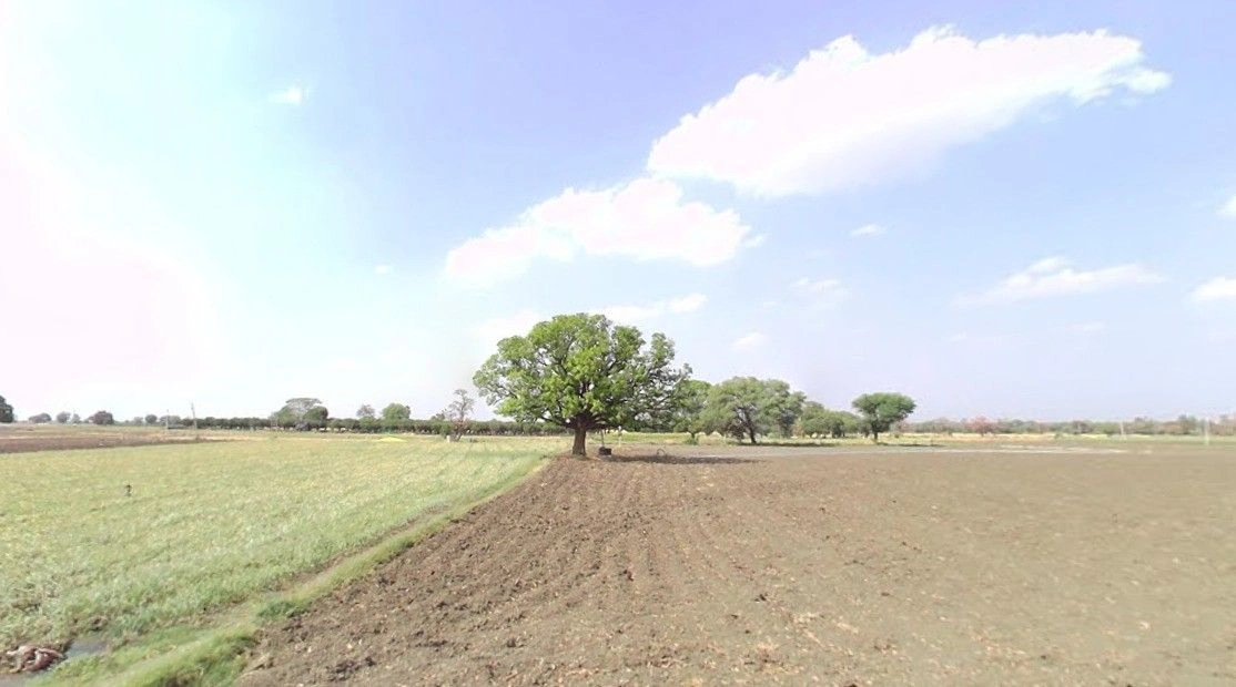 Bilkisganj, Madhya Pradesh 466111, India