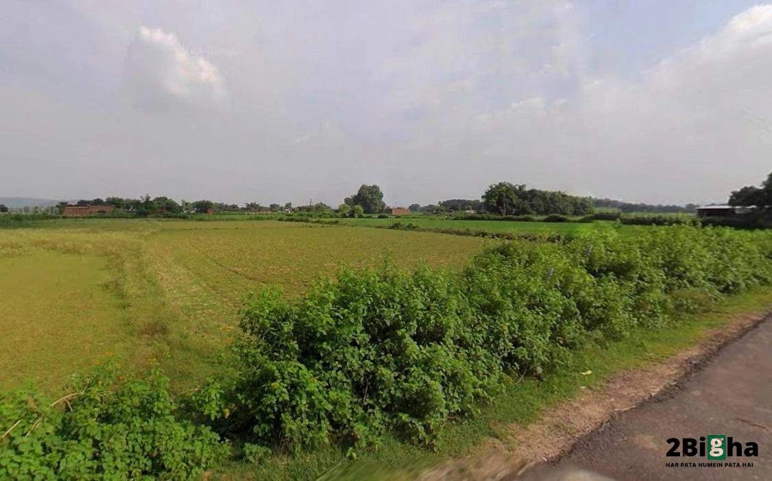 Matehana, Madhya Pradesh 485113, India