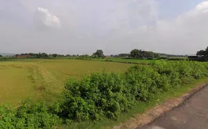 Matehana, Madhya Pradesh 485113, India preview 3