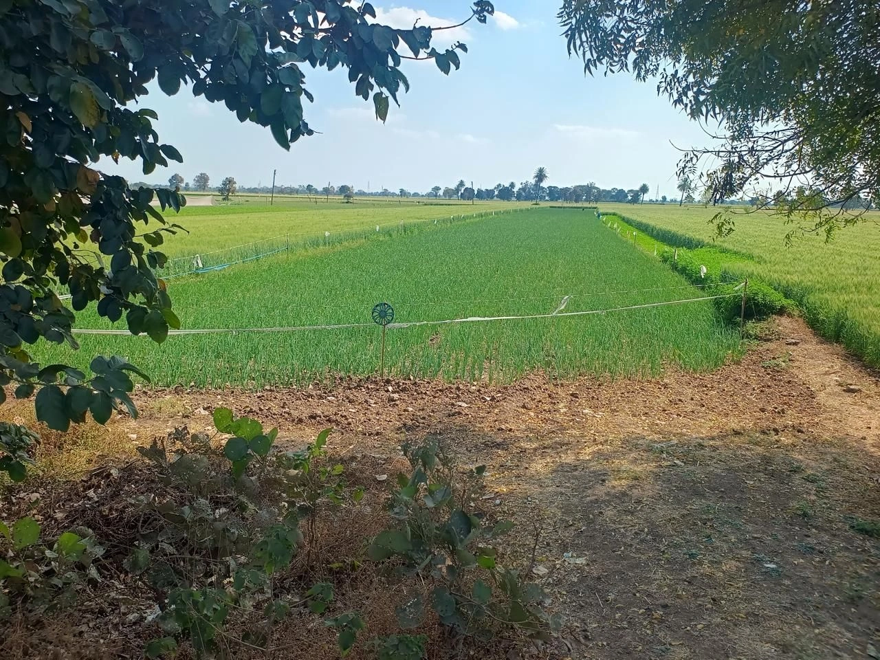 Ratlam, Madhya Pradesh 457001, India
