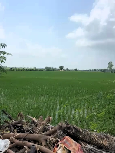 Dabwali, Sirsa, Haryana 125104, India