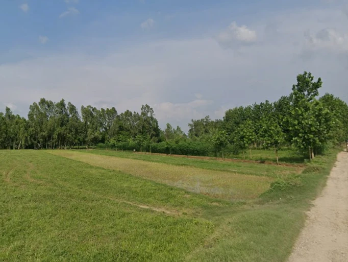 Faridpur, Uttar Pradesh 243503, India