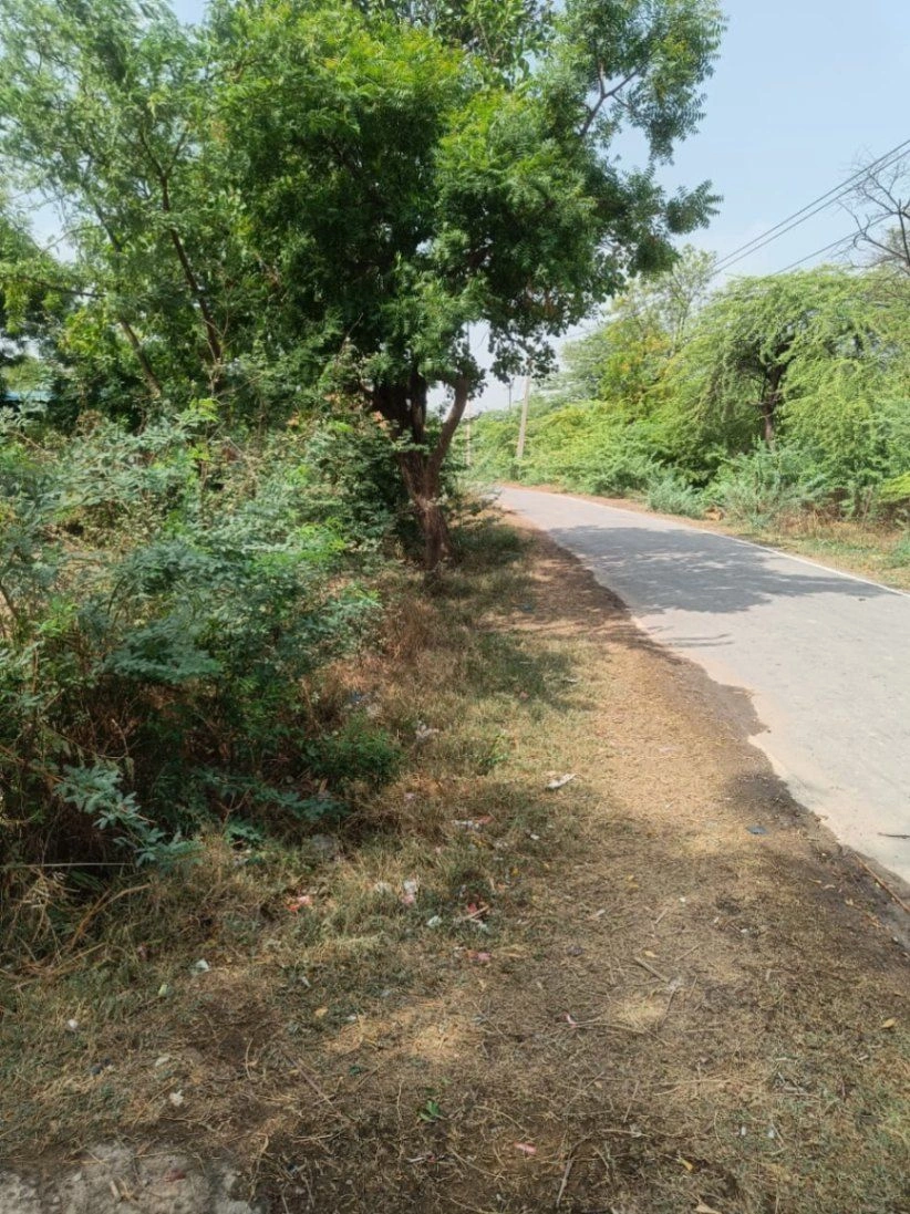 Sitapur Rd, Bargadi, Bakshi Ka Talab, Roodahi, Uttar Pradesh, India preview 2