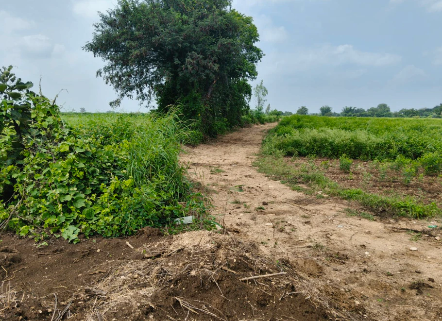 8MQ8+9X Peddemul, Vikarabad, Telangana, India