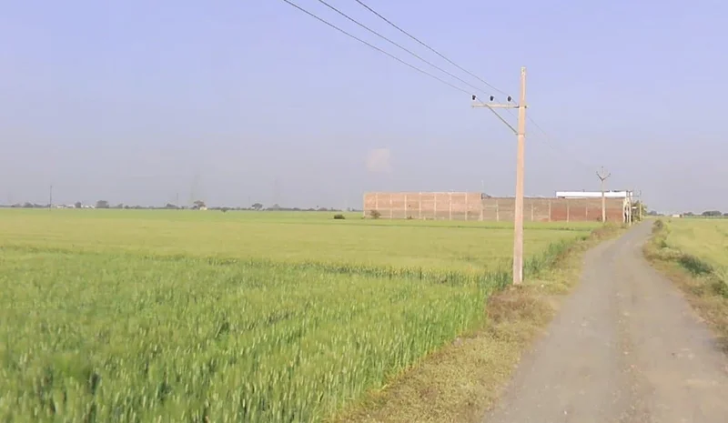 WV95+876, Tarana, Madhya Pradesh 456665, India preview 2