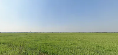 Rojda, Rajasthan 302012, India preview 2