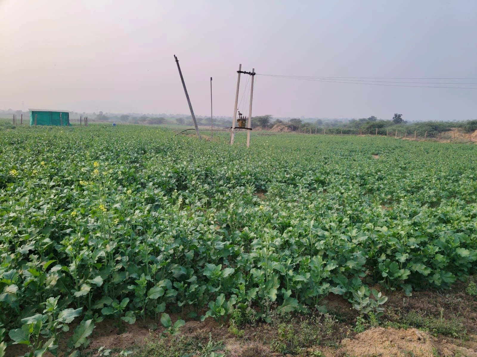 Indragarh, Rajasthan, India