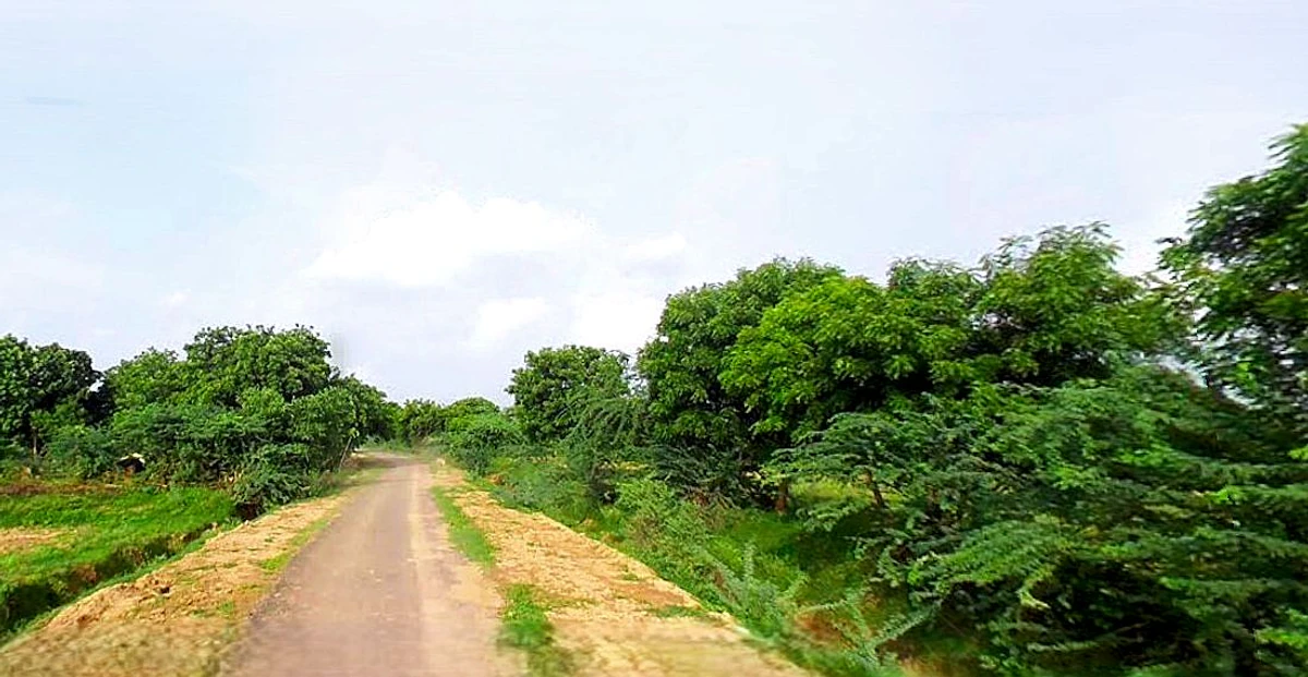 Suratgarh, Rajasthan 335804, India