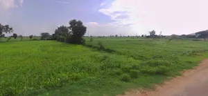 Hamirpur, Uttar Pradesh 210301, India preview 3