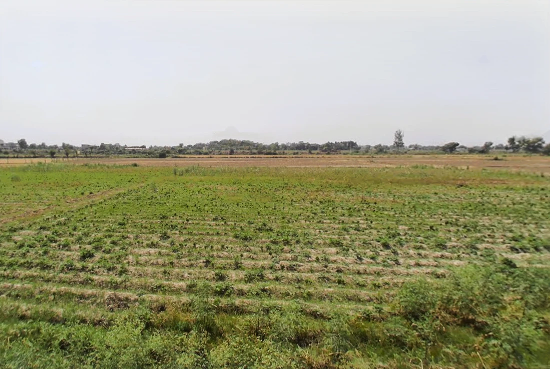 Kabulpur Patti Parwarish, Haryana 121101, India