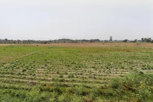 Kabulpur Patti Parwarish, Haryana 121101, India preview 3