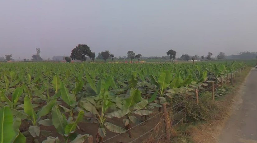 Arjun pur, Uttar Pradesh 226203, India