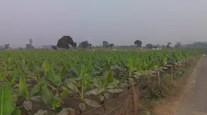 Arjun pur, Uttar Pradesh 226203, India preview 2