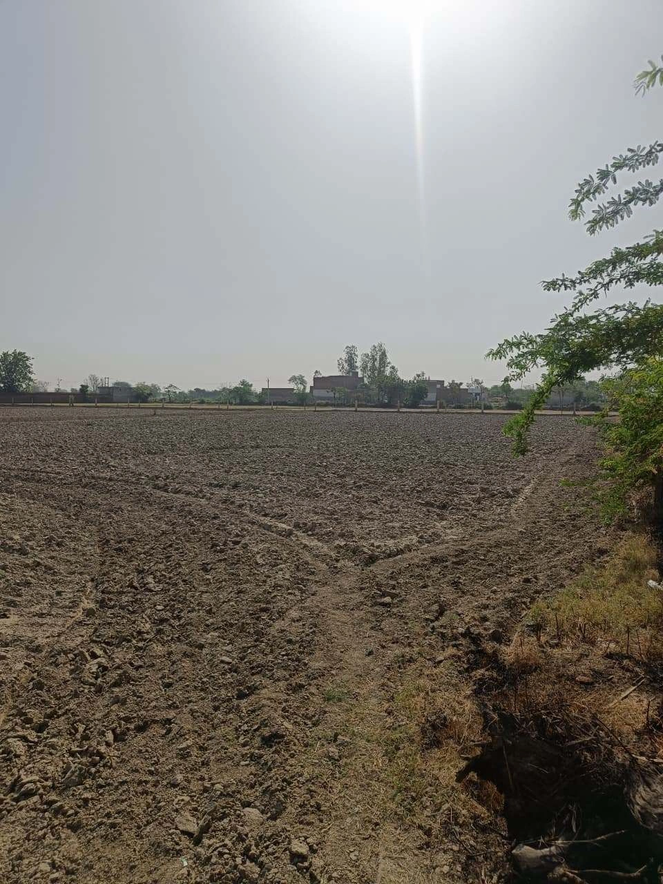 Gauhari, Uttar Pradesh 281401, India