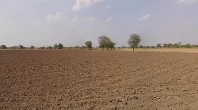 46F5+5GW, Siya Khedi, Madhya Pradesh 473287, India preview 2