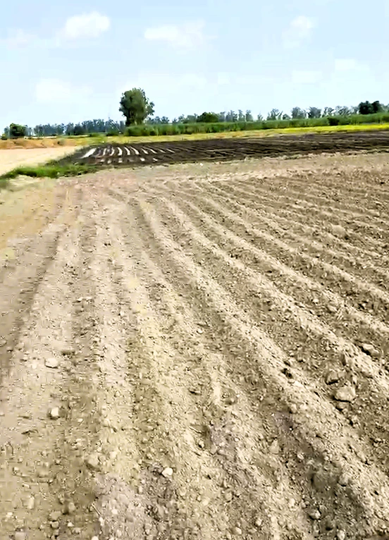 Kunjpura, Karnal, Haryana 132022, India