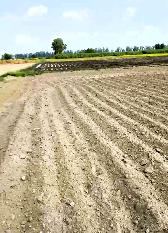 Kunjpura, Karnal, Haryana 132022, India