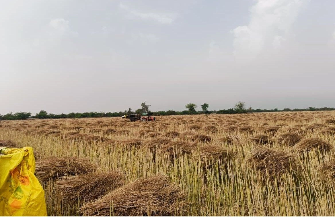 Gharwari, Rajasthan 321201, India