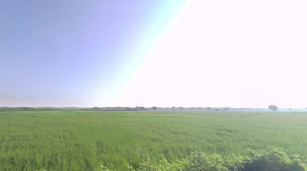 Jewar Airport Link Expy, Uttar Pradesh, India