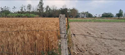 Bahadarabad, Uttarakhand 249402, India preview 2