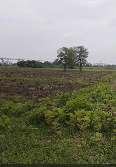 MG55+W8 Kamanpur, Peddapalli, Telangana, India - Photo 3