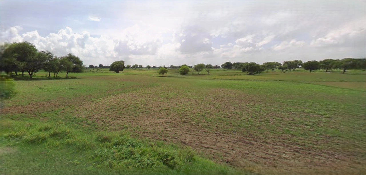 Panipat, Haryana, India