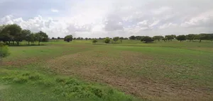 Panipat, Haryana, India preview 3