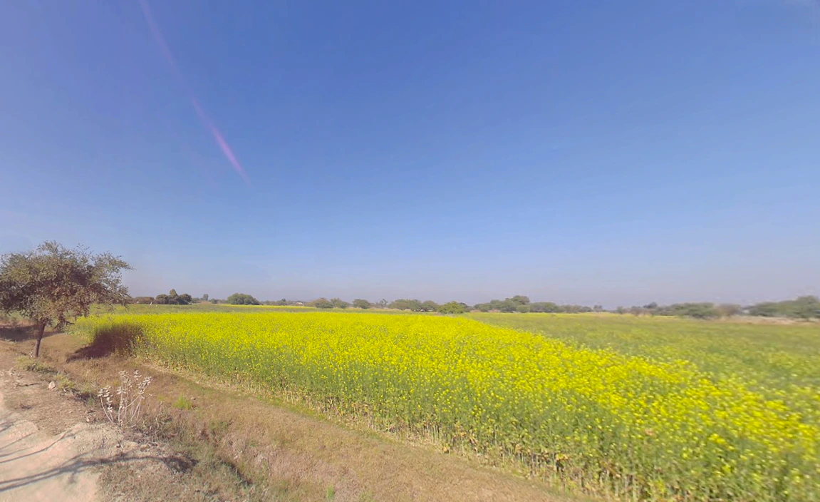 Kantoli, Rajasthan, India
