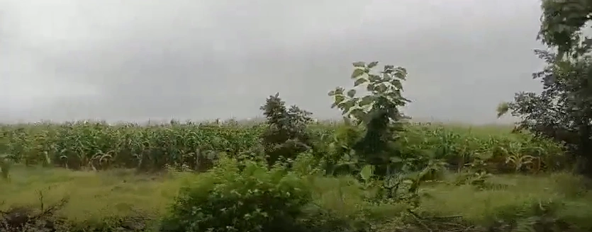 Begumganj, Raisen, Madhya Pradesh, India