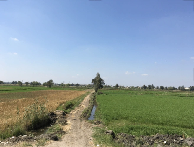 Mant, Uttar Pradesh 281202, India